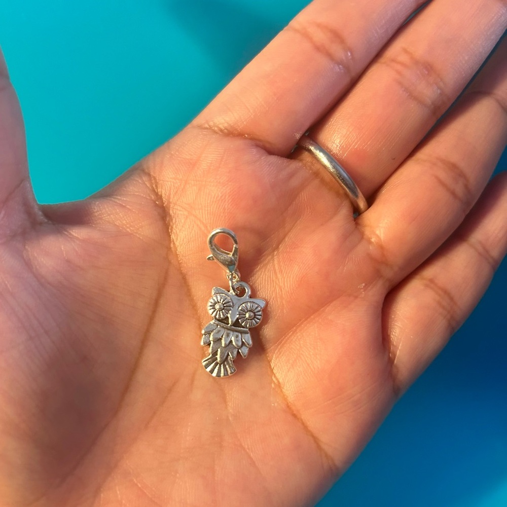 Owl 🦉 Charm
